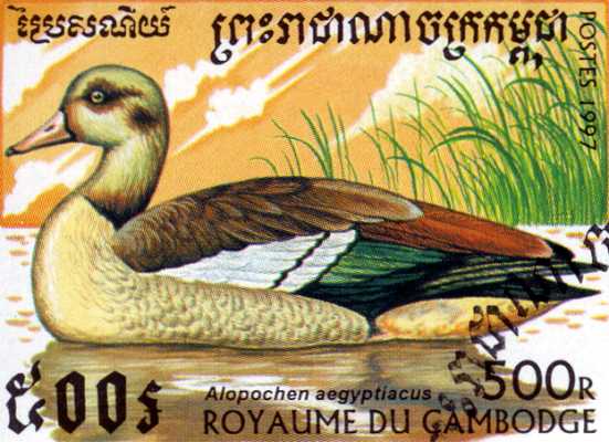 Stamp from Cambodia.